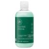 Paul Mitchell Tea Tree Special Shampoo(10.14 Fl Oz (Pack of 1))