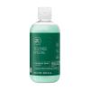 Tea Tree Special Shampoo, Deep Cleans, Refreshes Scalp, For All Hair Types, Especially Oily Hair(10.14 Fl Oz (Pack of 1))